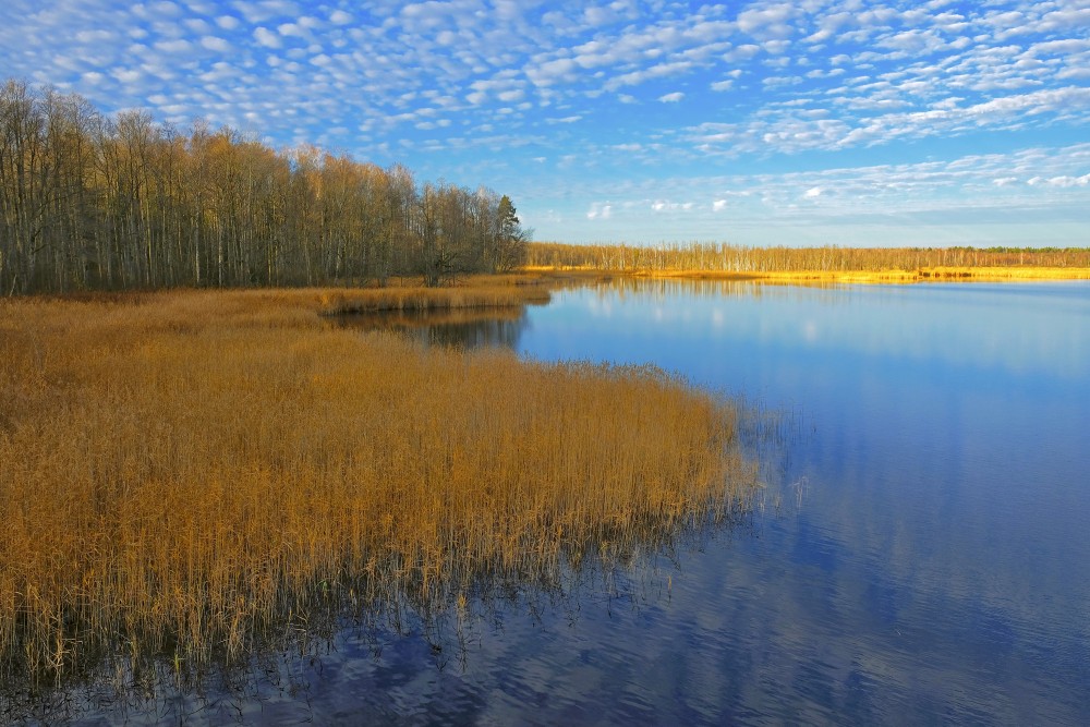 Autumn landscape of Sloka Lake