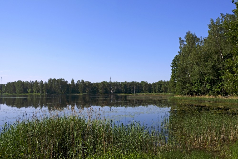 Jaunais ezers, Vecumnieki