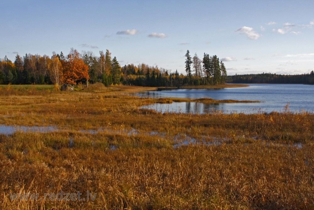 Lake Kuksu Landscape