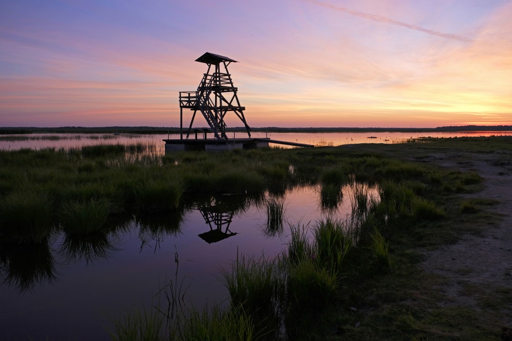 Bird-watching towers on the shore of Lake Engure