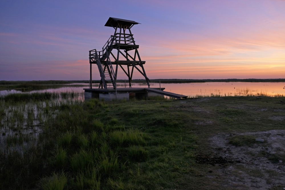Bird-watching towers on the shore of Lake Engure