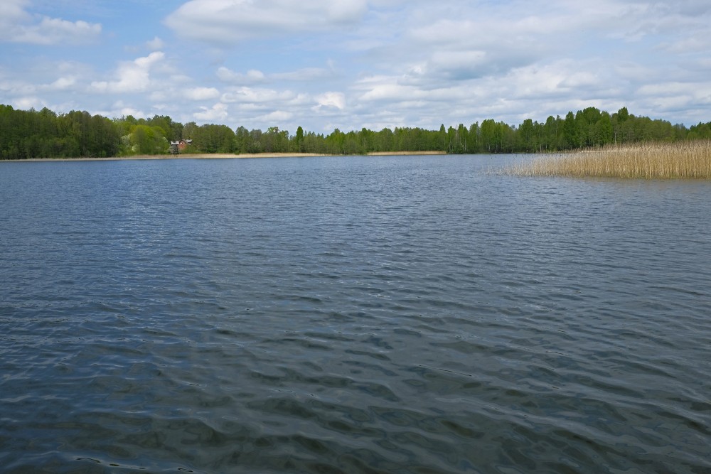 Lielezers Lake (The Great Lake) In Limbaži