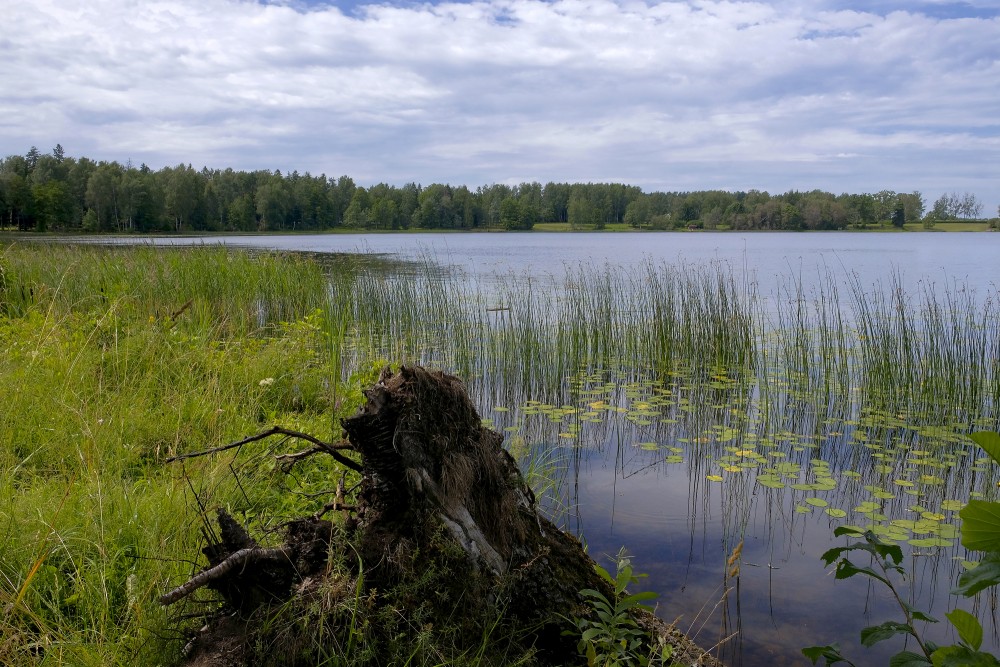 Stāmerienas ezers