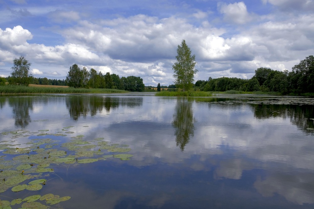 Šķēdes dzirnavezers (Kuldīgas novads)