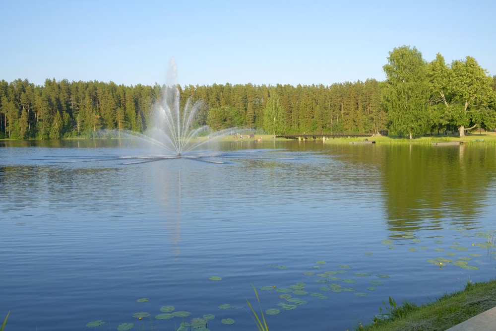Fountain In Lake Teper