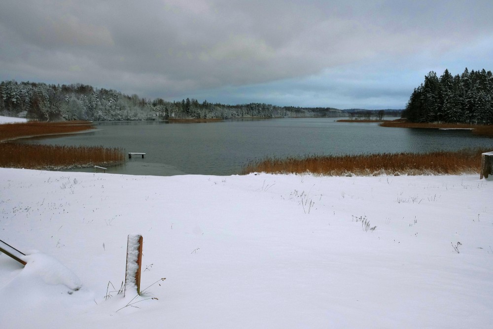 Zvirgzdu Lake in Winter