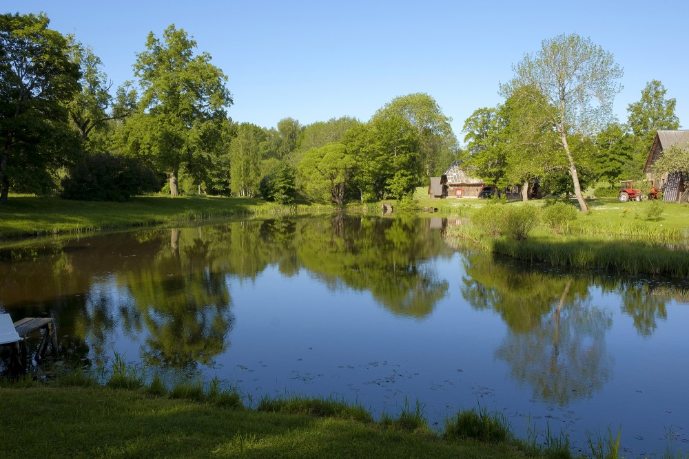 Pond Near Veselava Manor