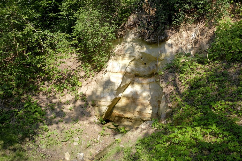 Raganu Kalna Acu avots Apē