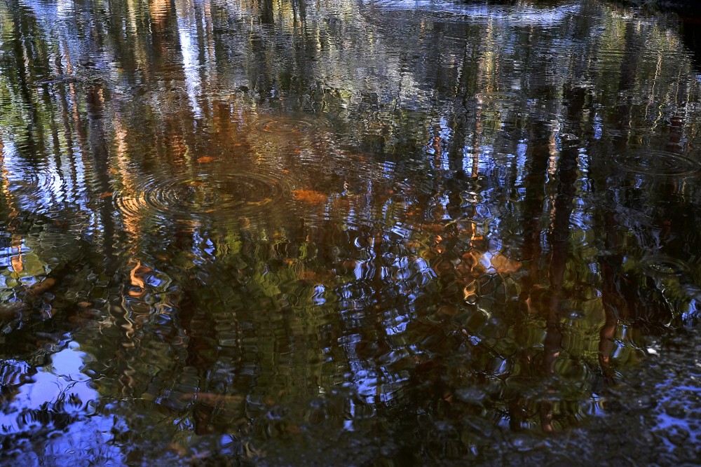 Lights and Reflections in Water