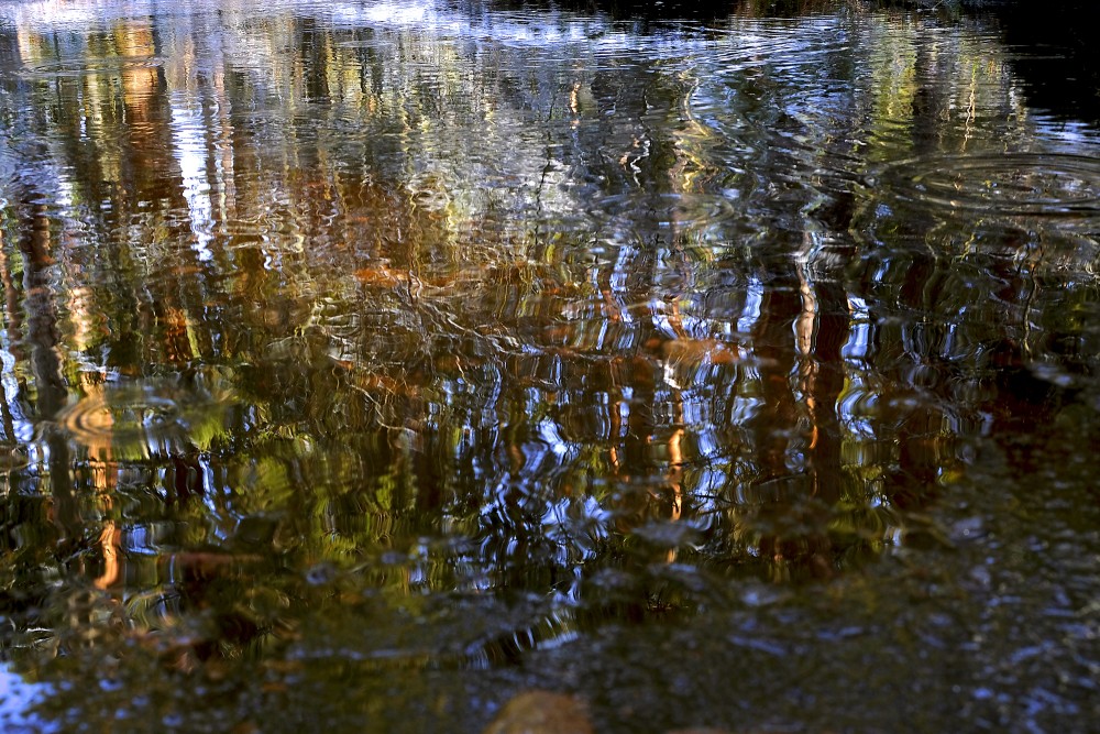 Lights and Reflections in Water