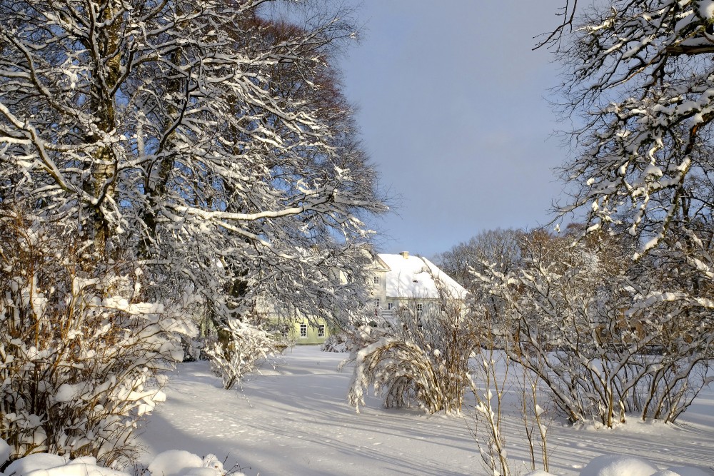 Popes muižas pils ziemā