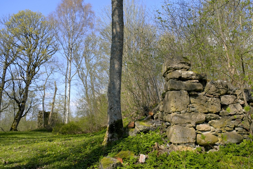 Embūte Castle Ruins in Spring