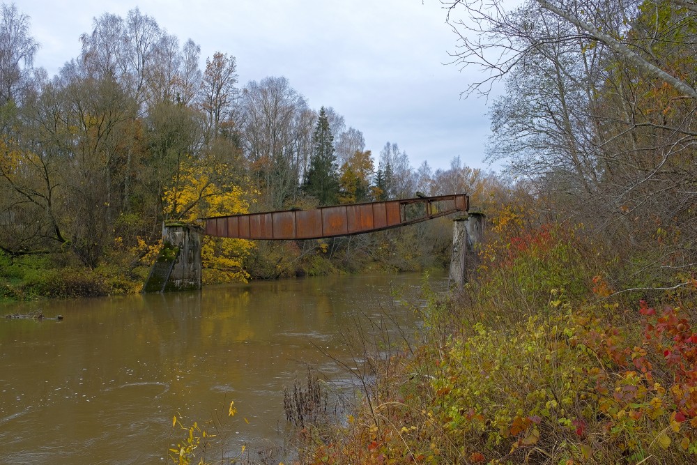 Vīles šaursliežu dzelzceļa tilta paliekas