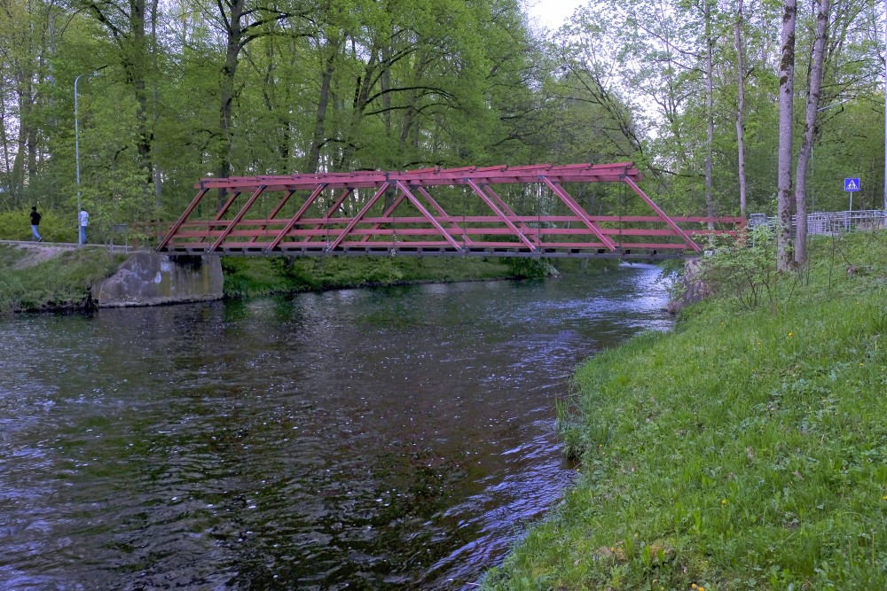 Pedestrian Bridge in Iecava Park