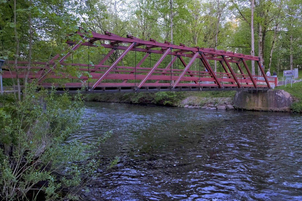 Pedestrian Bridge in Iecava Park