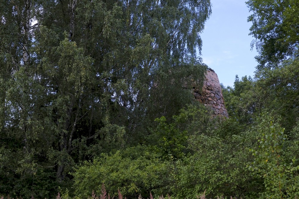 Kraujveidere Windmill