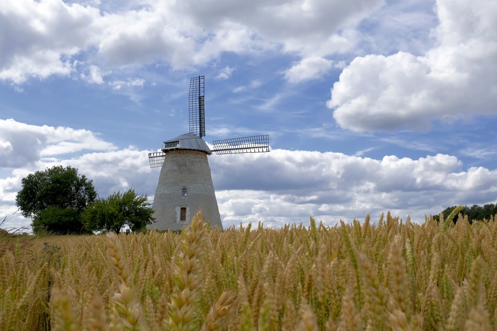 Anskrūžu vējdzirnavas