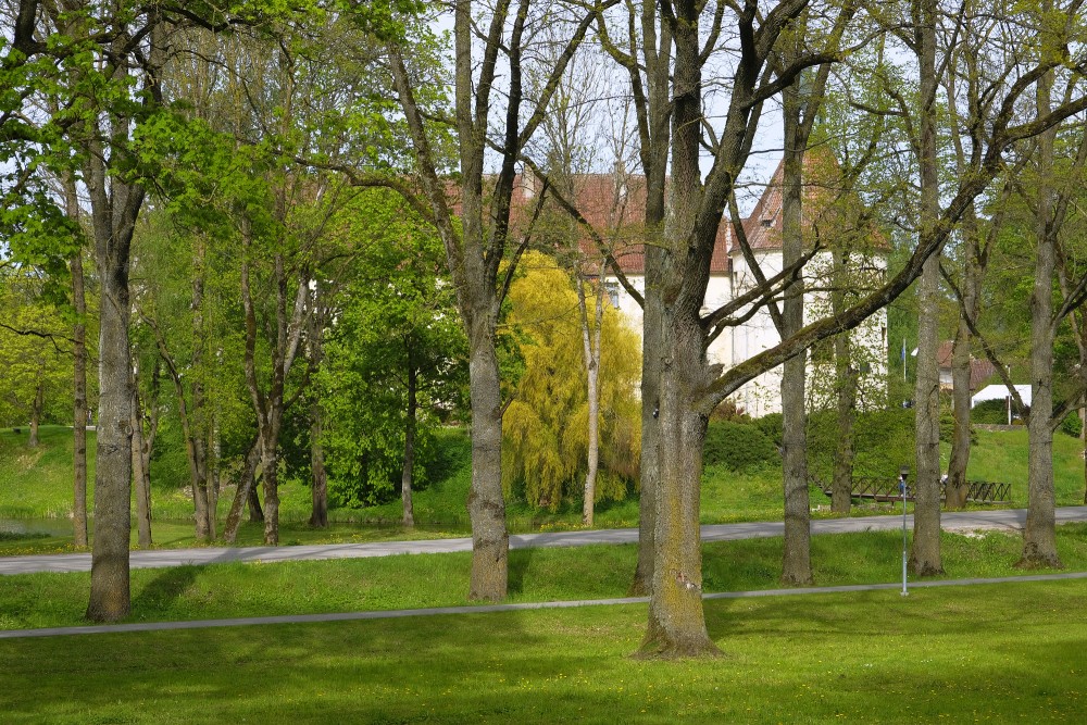 Skats uz Jaunpils pili caur parku
