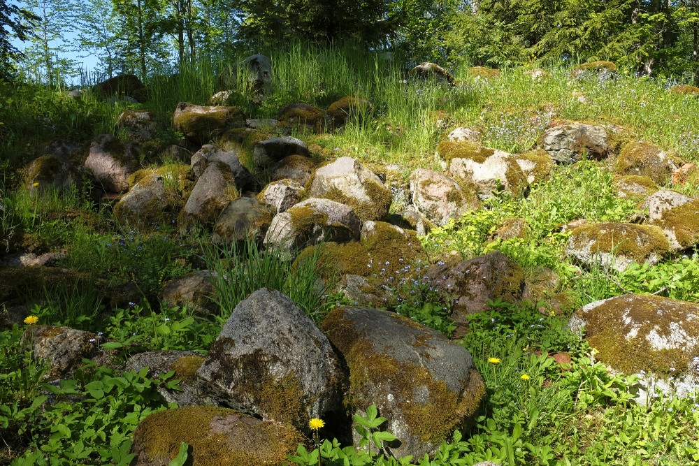 Zvārde Church Ruins