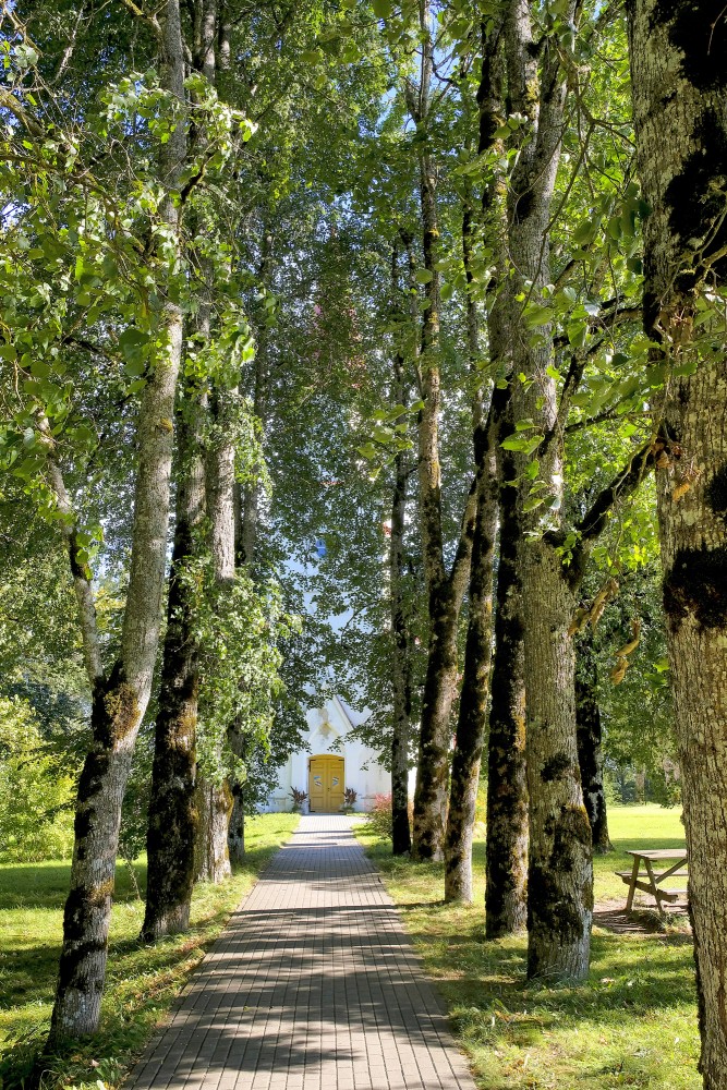The Alley Leading to the Skujene Lutheran Church