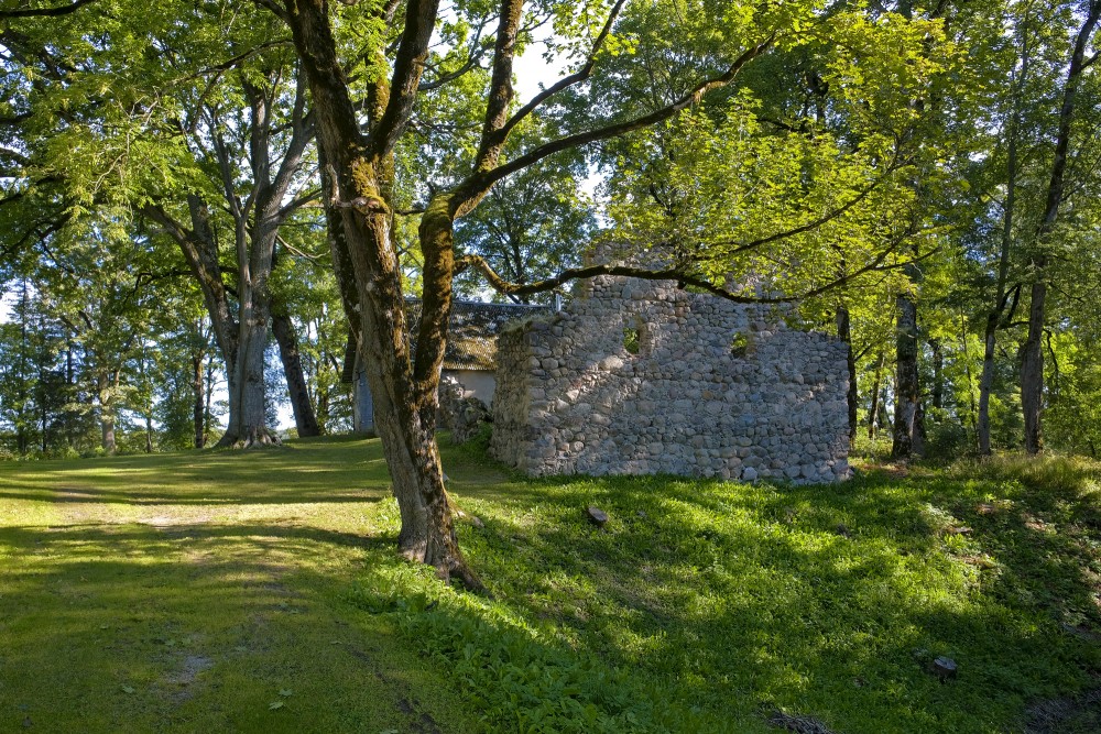 Skujenes viduslaiku pilsdrupas