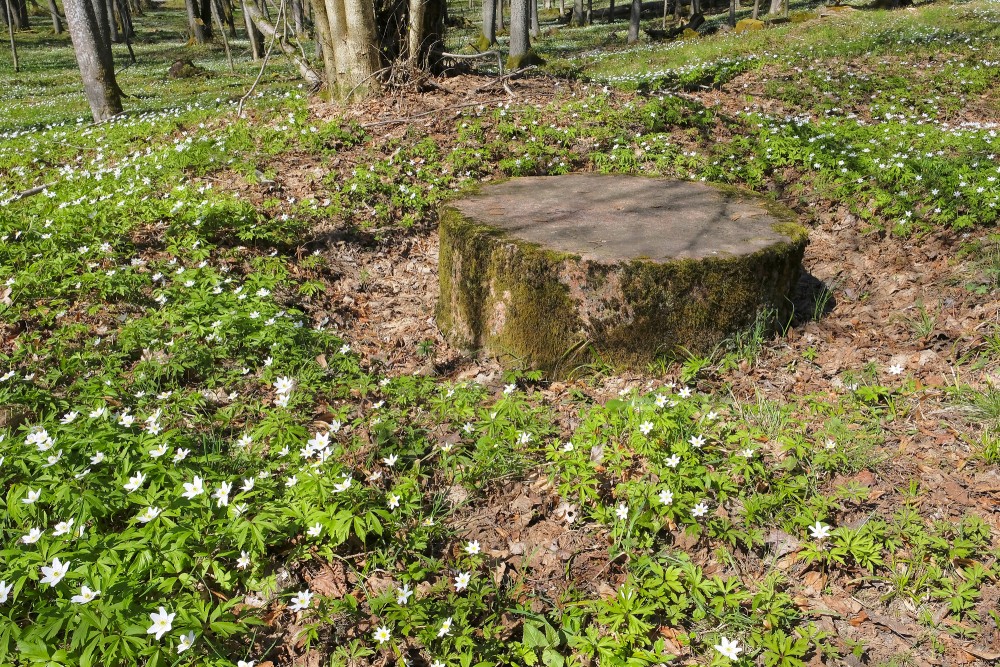 Stone in Remte Manor Park