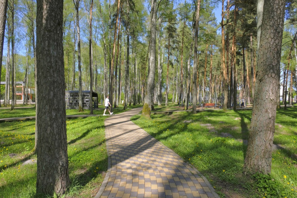 Olaines Mežaparks Olaines Mežaparks