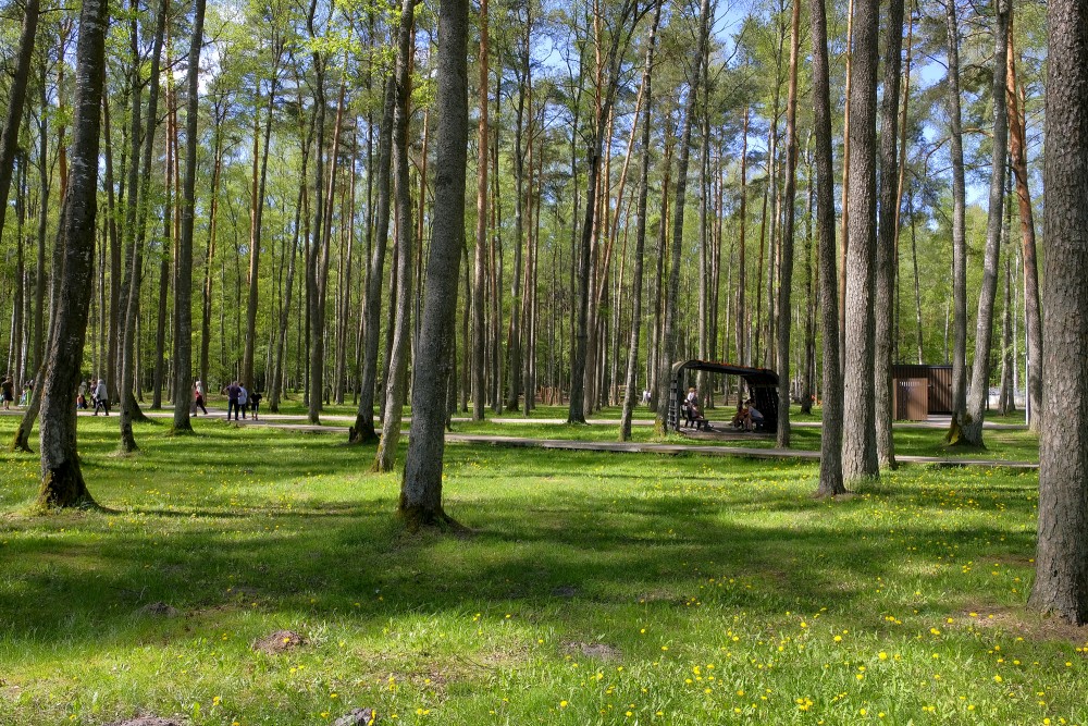 Olaine Forest Park