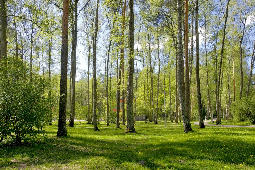 Olaines Mežaparks Olaines Mežaparks