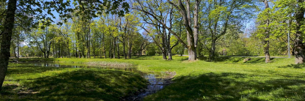 Tārgales muižas parka panorāma