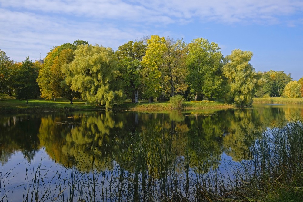 The Reflection of the Trees in the Water, Vecauce Castle Park