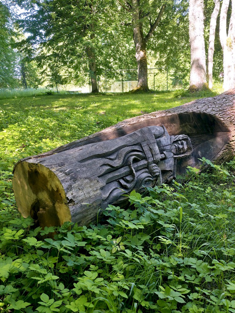 Koka skulptūra nokalpojusi savu mūžu