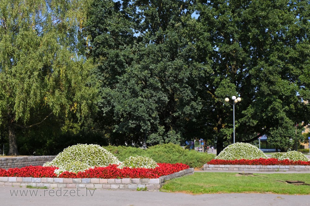 Greenery on the Duke Jacob's Square