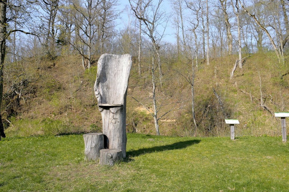 Koka skulptūra Embūtes dabas parkā