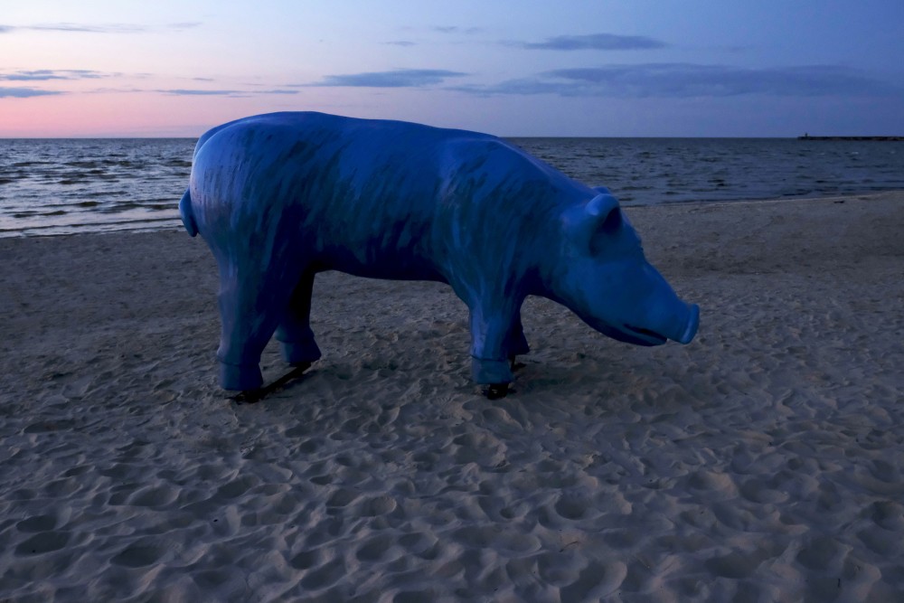 Environmental object "Blue Piglet" after sunset