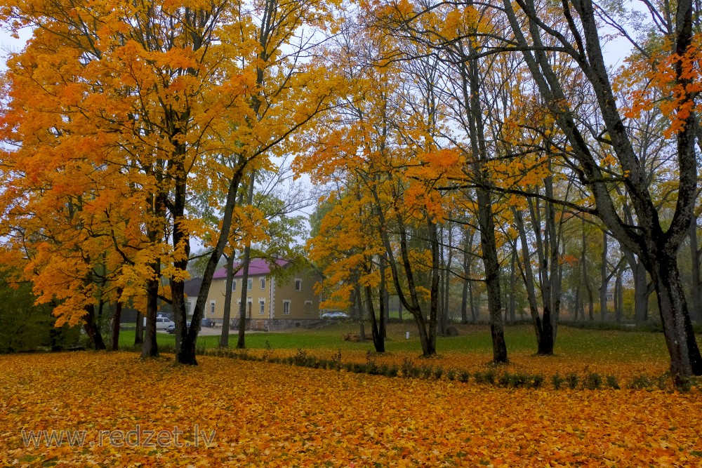 Alūksne in Autumn