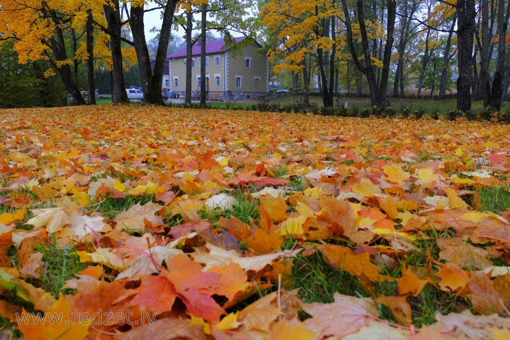 Alūksne in Autumn