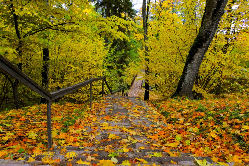 Cesvaine Palace Park in Autumn