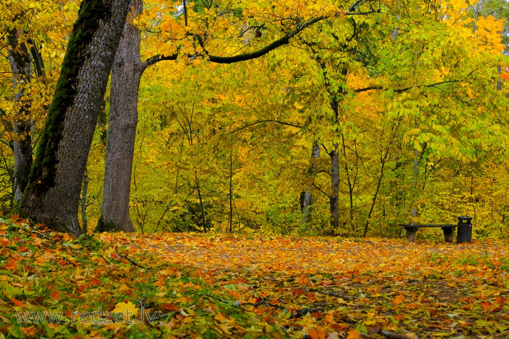 Cesvaine Palace Park in Autumn