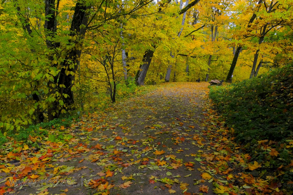 Cesvaine Palace Park in Autumn