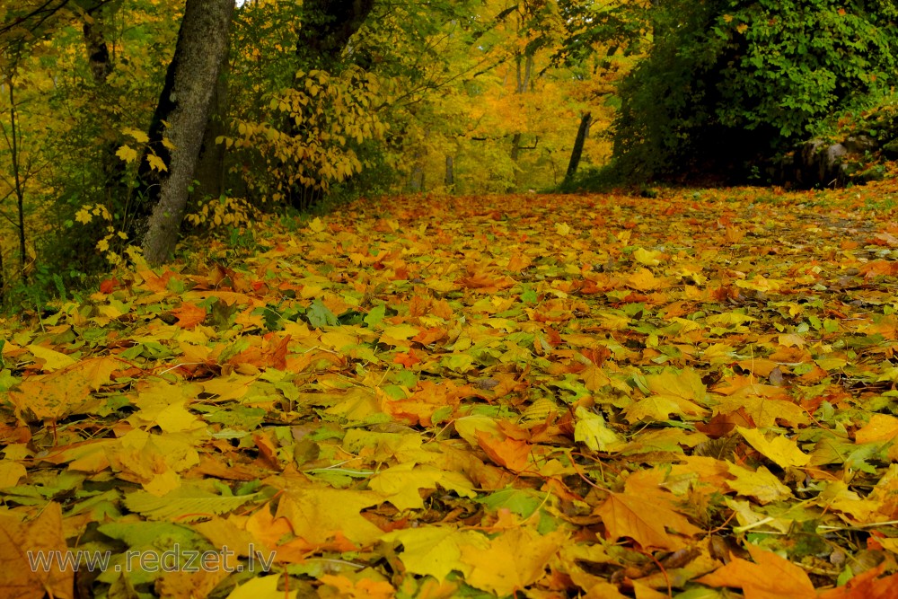 Cesvaine Palace Park in Autumn