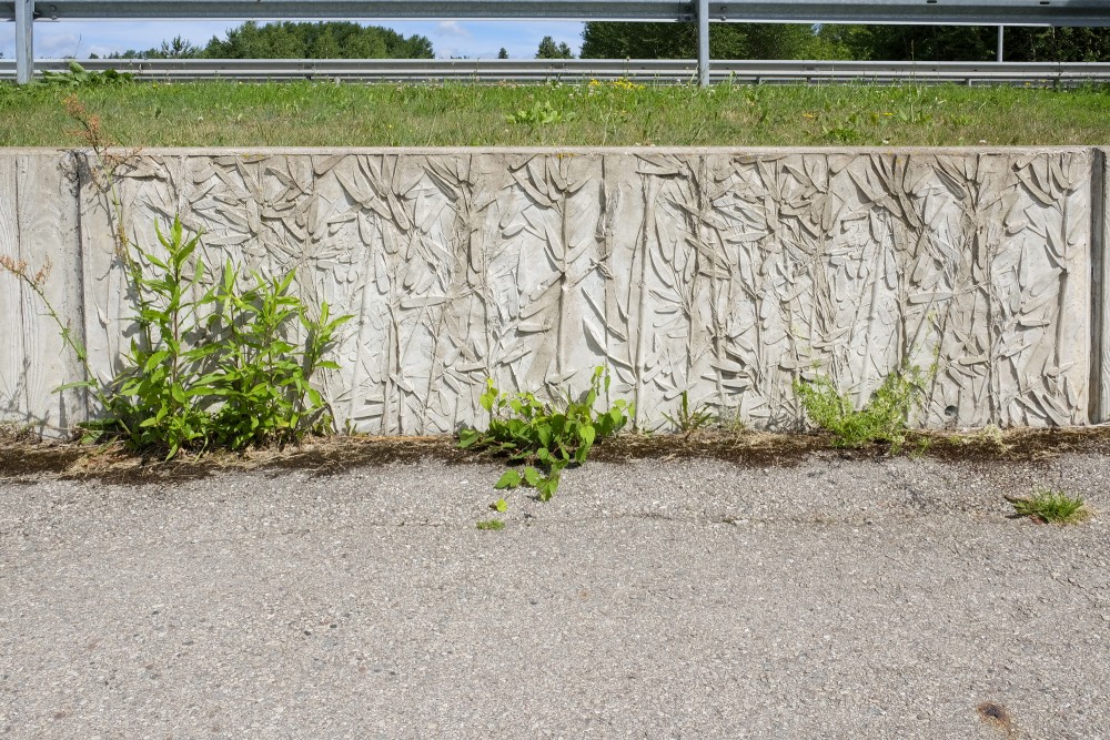 Decorative concrete border