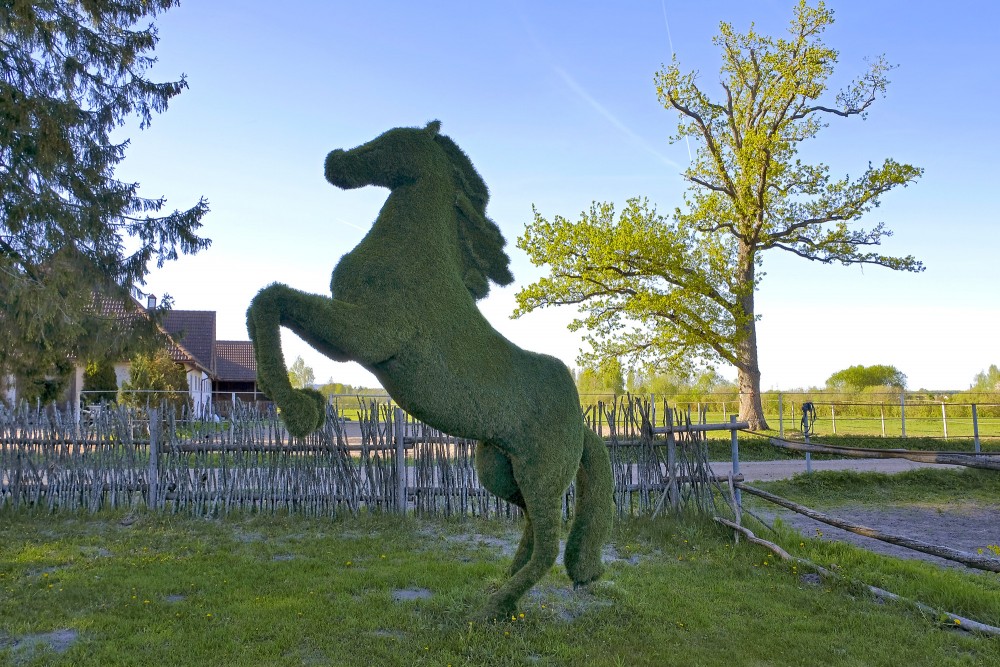 Zirga skulptūra pie atpūtas vietas "Zirgzandales"