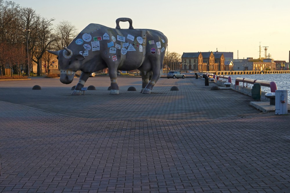 Sculpture - Travelling Cow (Ventspils)