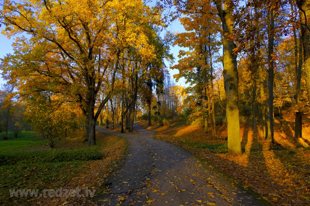 Smiltene Park in Autumn
