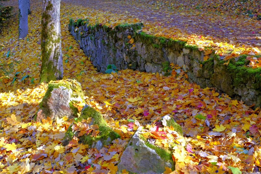Alūksne Manor Park in Autumn
