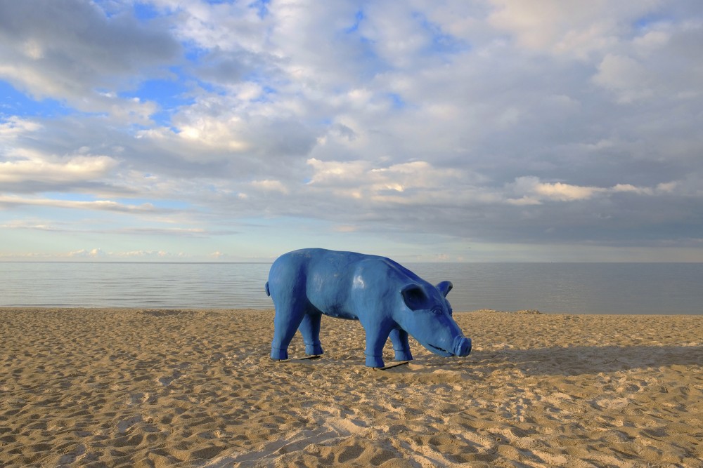 Environmental object "Blue Piglet" (Author Maris Grosbahs)