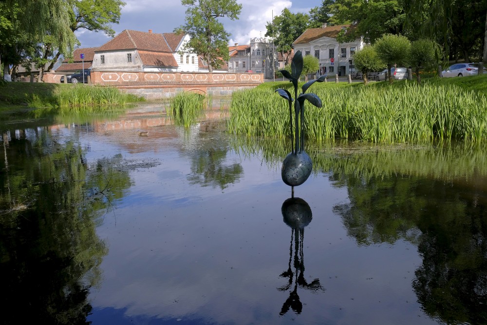 Tēlniecības objekts "Sukulenta slepenā dzīve" Kuldīgā