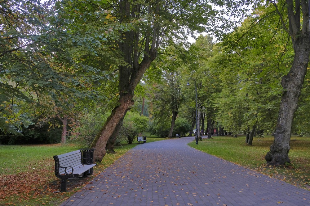 Tree-lined walkway with benches in Liepaja Seaside Park