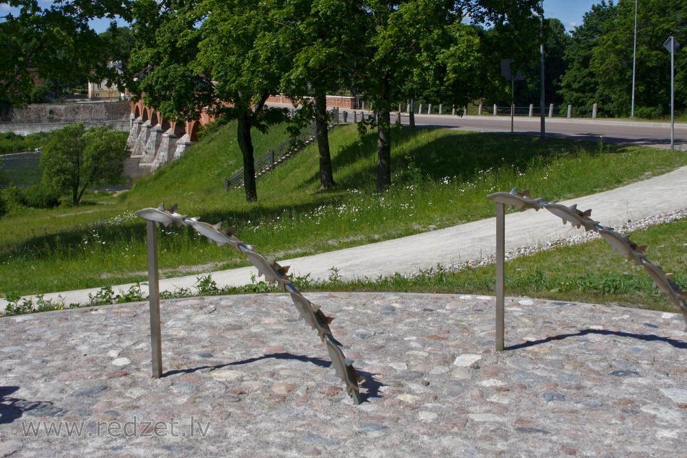 Velosipēdu novietne „Velo vimbas”, Kuldīga